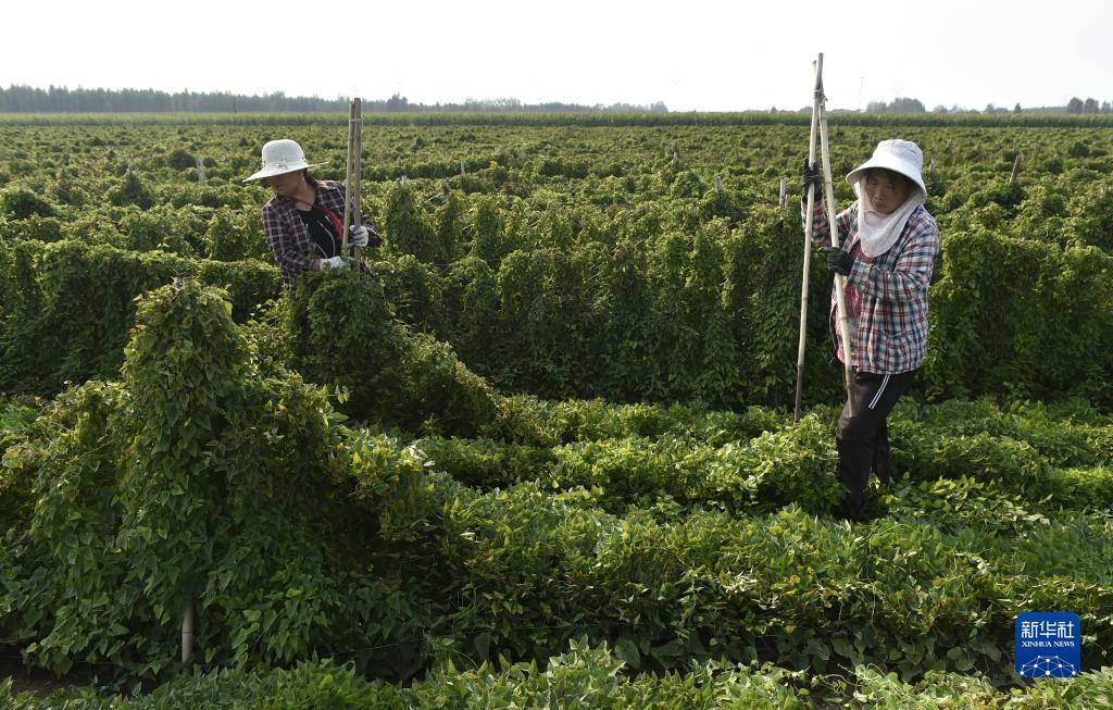 大奖网触屏版首页